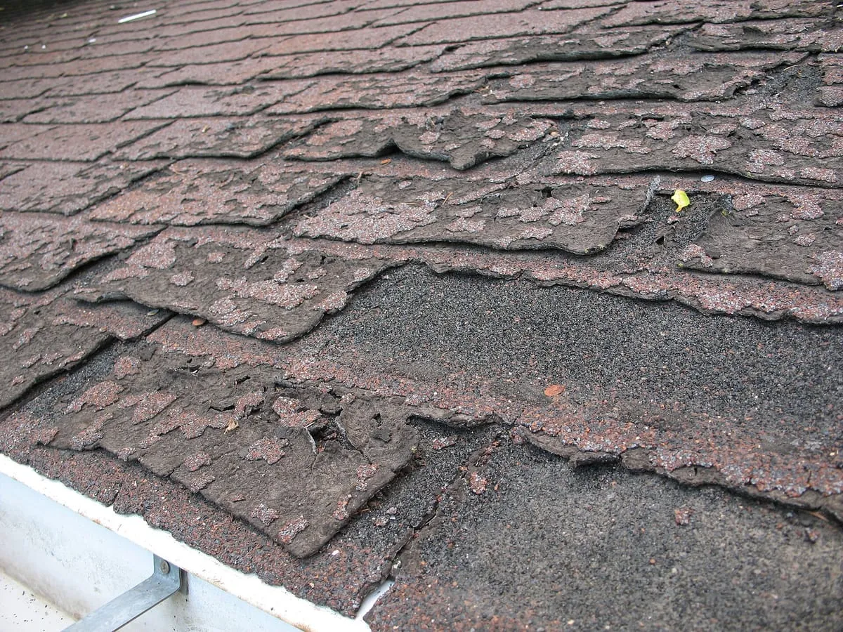 Close-up of aged asphalt shingles shrunk, curled and torn above a metal gutter