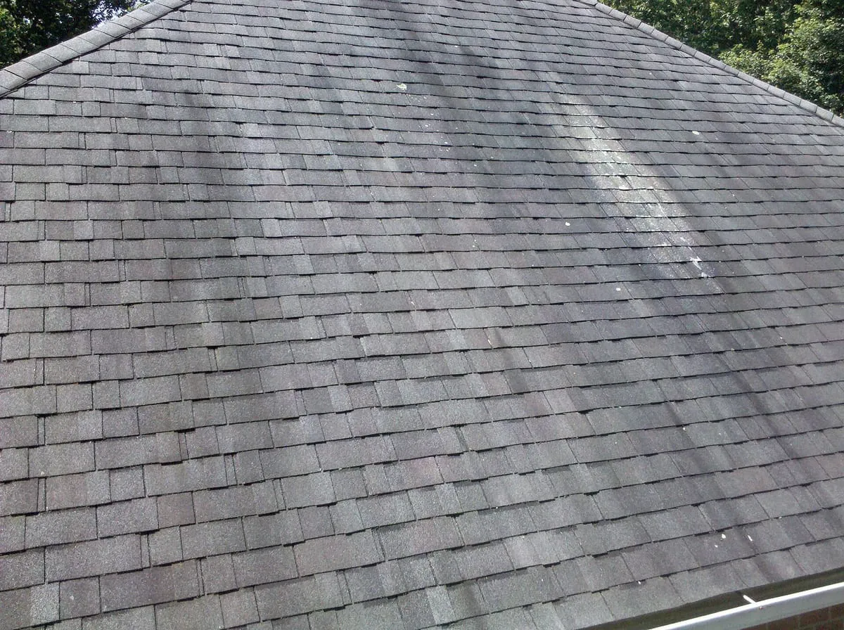Dark algae streaks running down a gray asphalt shingle roof