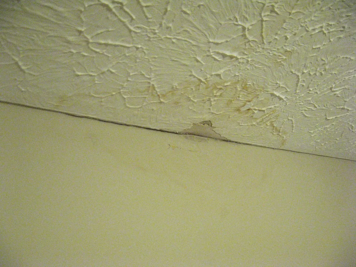 Brown water stain on a textured ceiling where it meets the wall