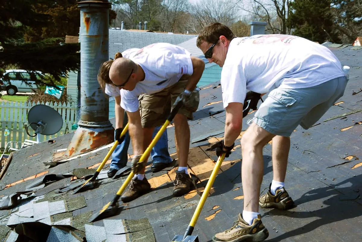 Three people using roofing shovels to strip old asphalt shingles off a roof