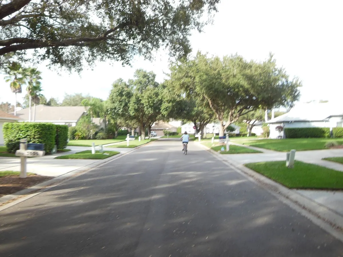 Tree-lined residential street with houses and lawns in River Hills, Valrico